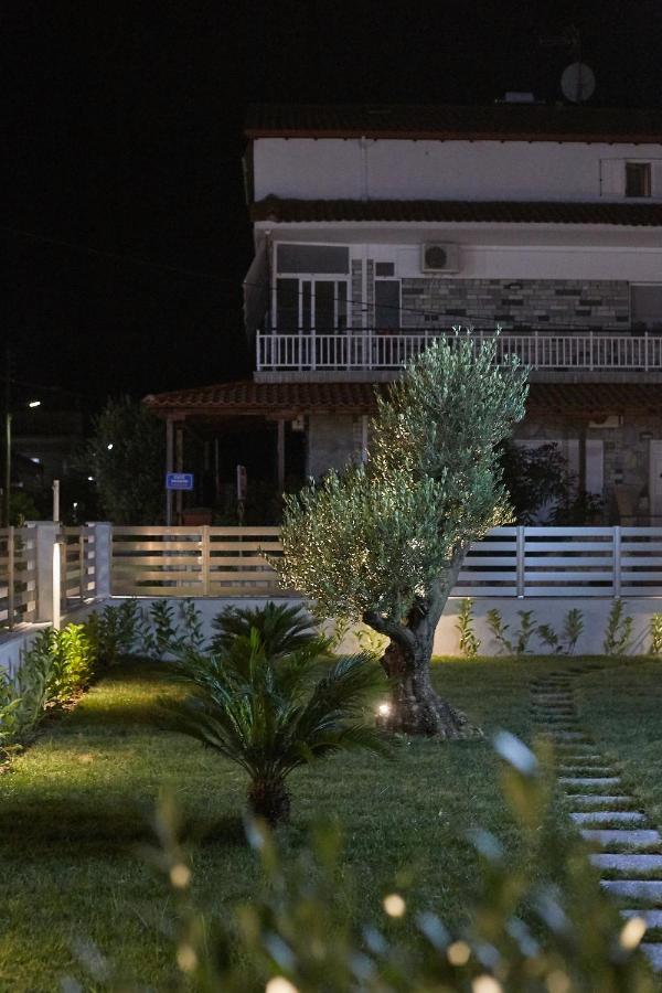 Apartment Albatros Luxury *